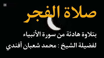 تلاوة هادئة من صلاة الفجر | الشيخ محمد شعبان أفندي