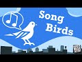 Bmfconnect game song birds  level 5