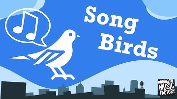 BMFConnect Game: Song Birds - Level 5
