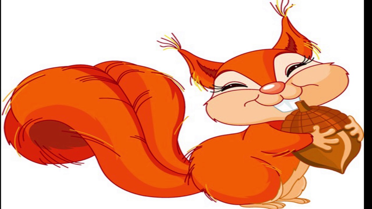 Nuts in May Kids Nursery Rhymes YouTube