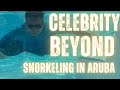 Aruba snorkel trip on my celebrity beyond cruise with brian craig