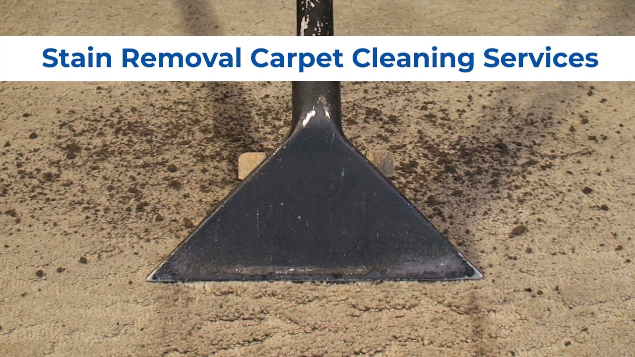 How to Carpet Cleaning | Carpet Cleaning Sydney |