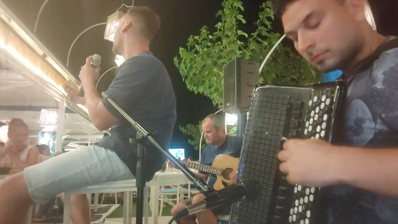 Harmonikaš za svadbe i proslave sa bendom