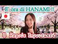 HANAMI in GIAPPONE🌸: 3 Regole che (forse) non conoscevi !🇯🇵