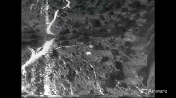 Infrared Video of Elephants Filmed by Small UAV