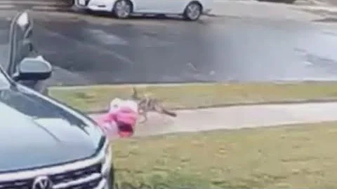 Coyote that attacked Woodland Hills girl euthanized