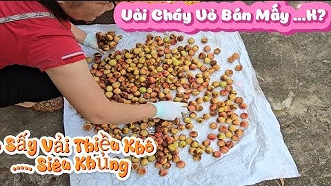 VẢI CHÁY VỎ MUA MẤY NGHÌN VÀ LÒ SẤY VẢI THIỀU KHÔ SIÊU KHỦNG I NÚI ĐỒI LỤC NGẠN