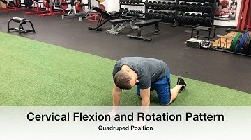 Cervical Flexion and Rotation Pattern.  (Prone/Quadruped) Neck Range of Motion Exercise