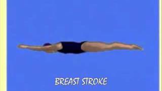 ANIMATION FOR PHYSICAL EDUCATION - SWIMMING