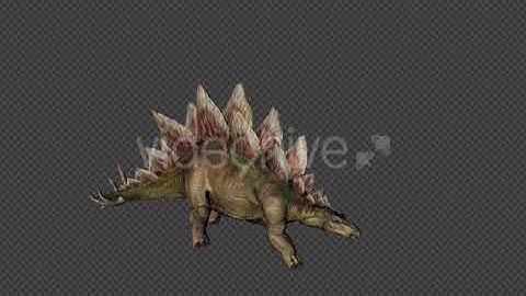 Stego Dinosaur Walk Pack 4 In 1 | Motion Graphics - Envato elements