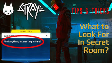 WHAT TO LOOK FOR IN SECRET ROOM IN SEAMUS HOUSE? | STRAY GAME TIPS AND TRICKS | GAMERS DIGEST