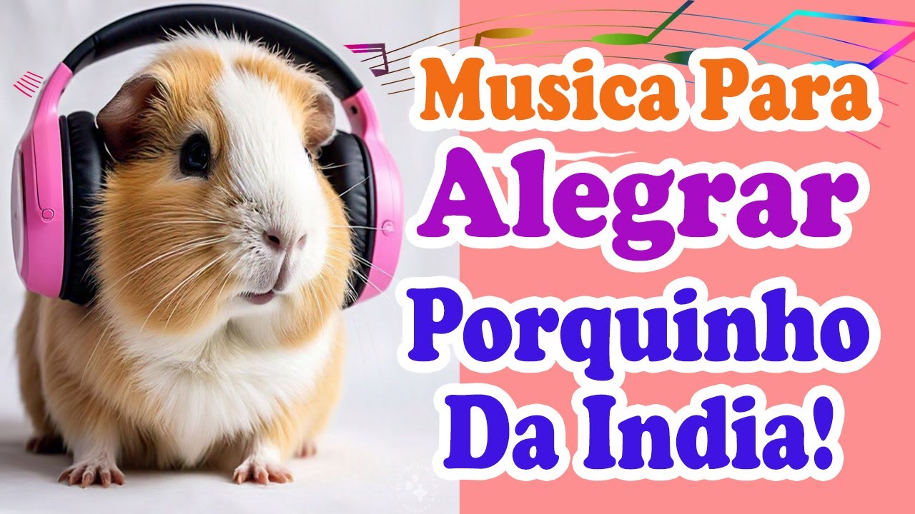 Músicas para alegrar porquinhos da índia - Músicas para deixar o porquinho da índia feliz!