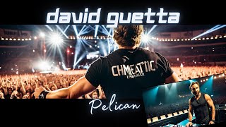 David Guetta - Pelican