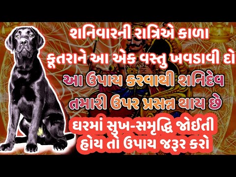 શનિવારની રાત્રિએ કૂતરાને ખવડાવી દો આ એક વસ્તુ || સંસ્કારની વાતો