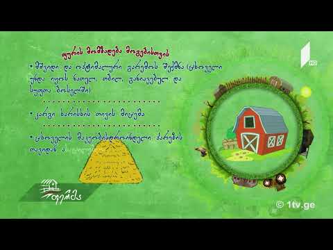 #უკეთრომაკეთო ვეტერინარის რჩევები ქვემო ქართლის მეცხოველე ფერმერებისთვის