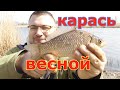 Подобрал ключик к весеннему карасю. Ловля карася по холодной воде весной. Карась на фидер в апреле