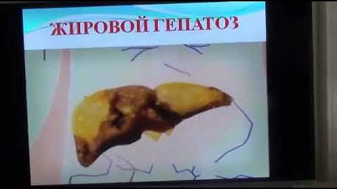 Врач педиатр Ольга Махмудова о продуктах APL 3 часть