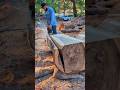 Una belleza de Conacaste, con cara😱#chainsaw #asmrvideo #woodwork
