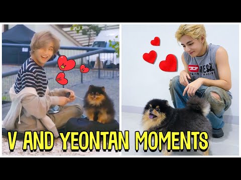 BTS V And His Dog Yeontan Cute Moments (Feat. Rocky)