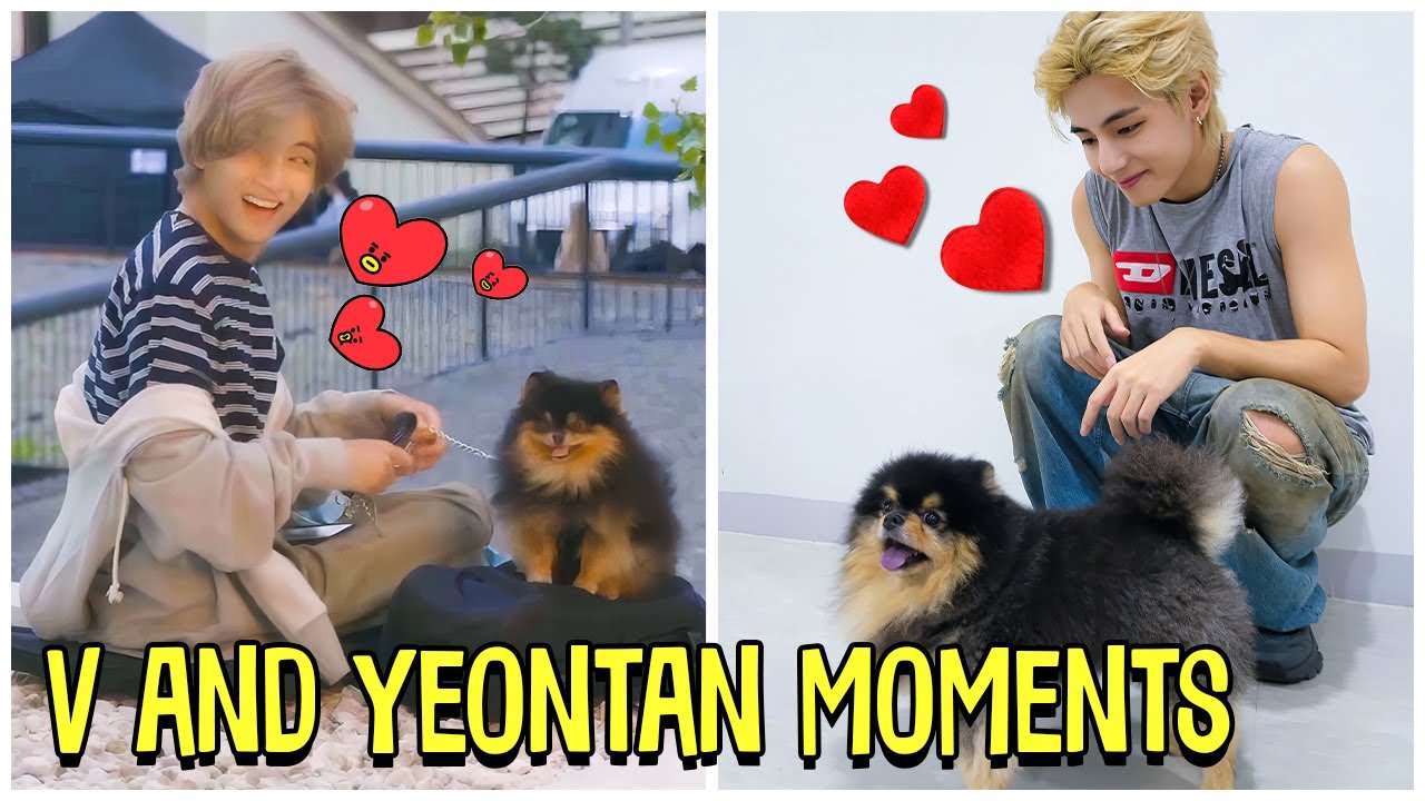 BTS's V's dog Yeontan debuts in his solo song Rainy Days - But is