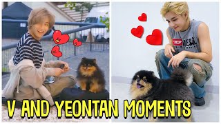 BTS V And His Dog Yeontan Cute Moments (Feat. Rocky)