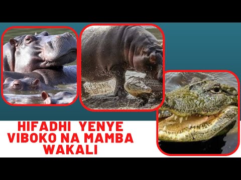 Video: Jinsi Ya Kuzima Jaribio Kwenye Megaphone