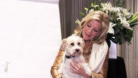 Surrender VS Defeat: How Do I Know The Difference? - The Short Answer with Dr  Sue – Episode 60