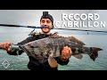 Record De Cabrillón 4Kg !! - Fishing Fish Ep.1