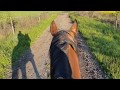ASMR Virtual Horse Ride | Nature | Spring | ZeuneS