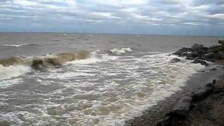 20101027_0830