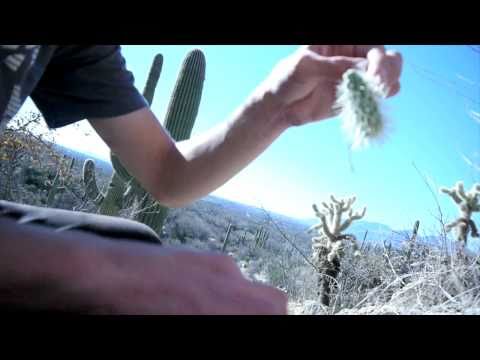 Removing Cholla Cactus From Hand (365 Project)