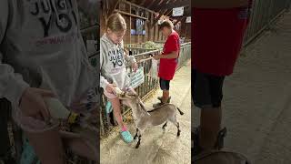 Steuben County Fair 2021