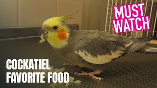 cocktail food eating rice #lutinocockatiel #cockatiel #birdiesdodo