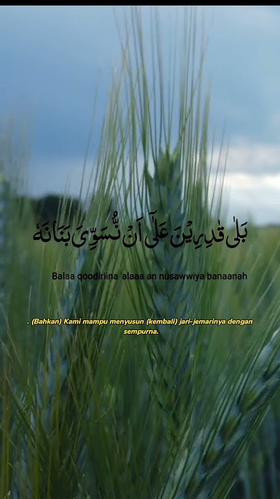 QS. Al-Qiyamah