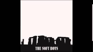 Watch Soft Boys Only The Stones Remain video