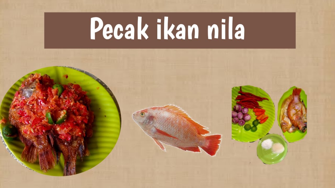 PECAK IKAN NILA #masakanmurah - YouTube