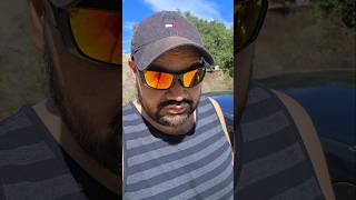 Los Angeles rescue Red tail hawk, hurt by a plane, birds in USA, Raptors Wildlife Telugu vlogs