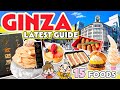 Ginza Tokyo Japan Street Food Tour / Japan Travel Food Vlog