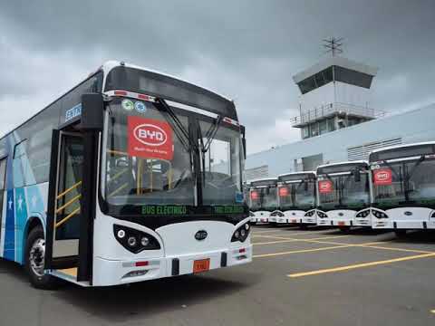 20 Units BYD