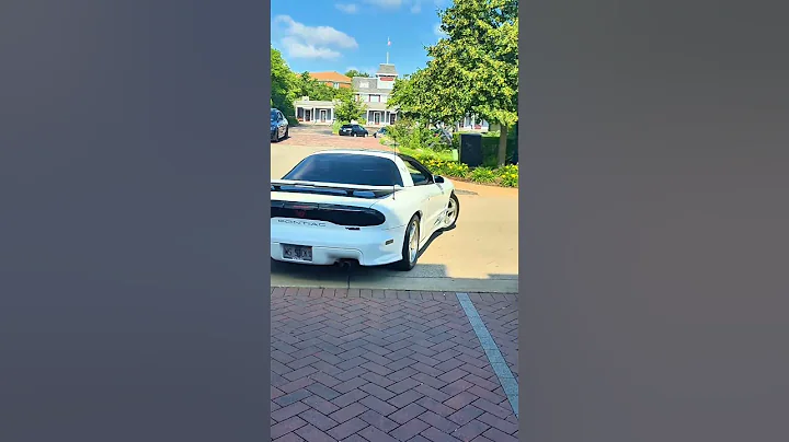 Cammed WS6 Trans Am with that CHOP idle—STMF if you love LSX! #WS6 #STMF #ChopLife