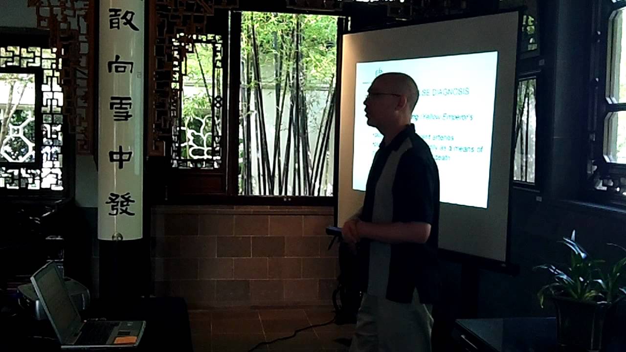 In the Scholar's Hall: The Art of Chinese Pulse Diagnosis