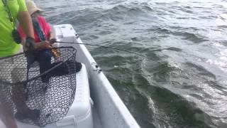 Lake livingston striper fishing