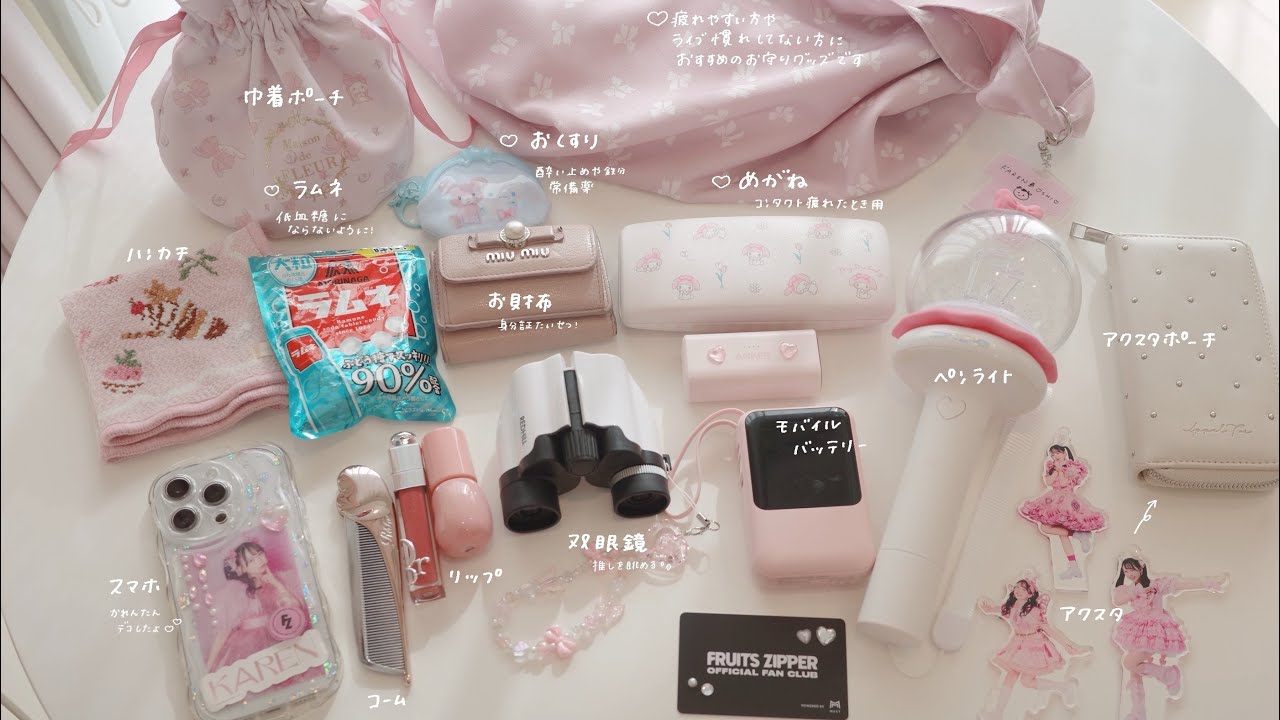 ［ vlog ］ひとりでライブ参戦する2日間の記録🪞🎀 バッグの中身と手帳時間 📖