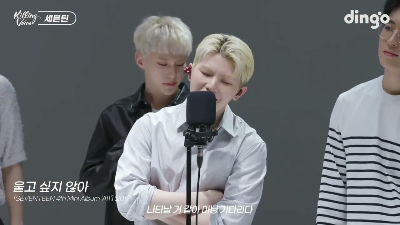 SEVENTEEN Dont Wanna Cry Killing Voice