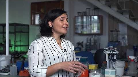 SP3:  Algae Vertical | TECH3 Full Episode