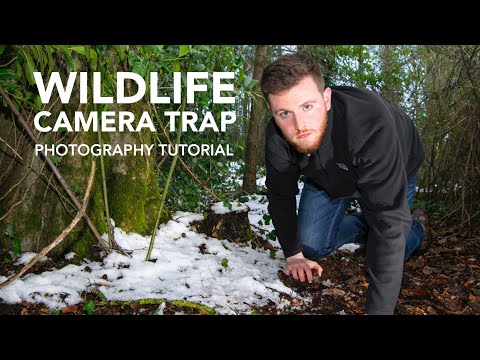 wildlife-camera-trap---photography-tutorial