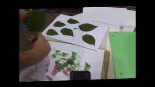 Imprinting Leaves - Jus-Cutz A4 Die Cutting And Embossing Machine 6