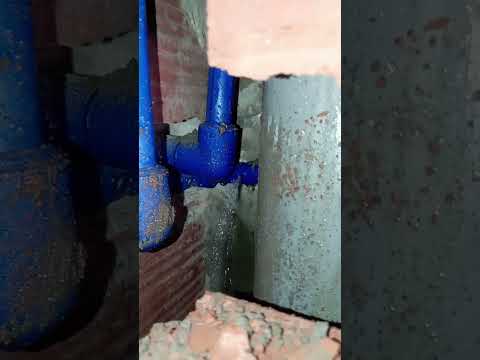 لمسكسين جاتو لبكيا اكسبلور اقنباسات ترند 