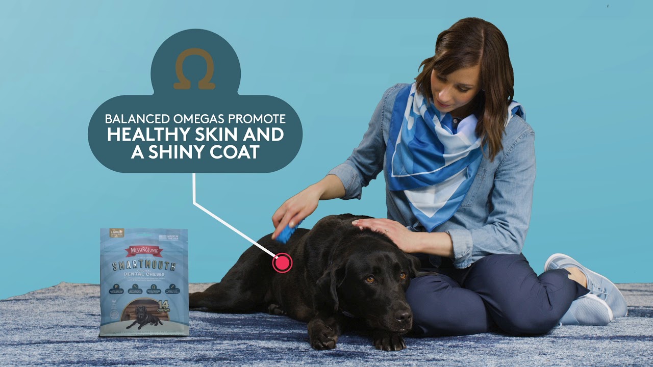 the missing link dental chews