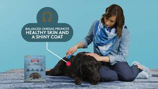 Introducing Smartmouth™ Dental Chews from The Missing Link®